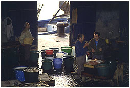 マラガの魚市場