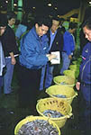 香港の魚市場