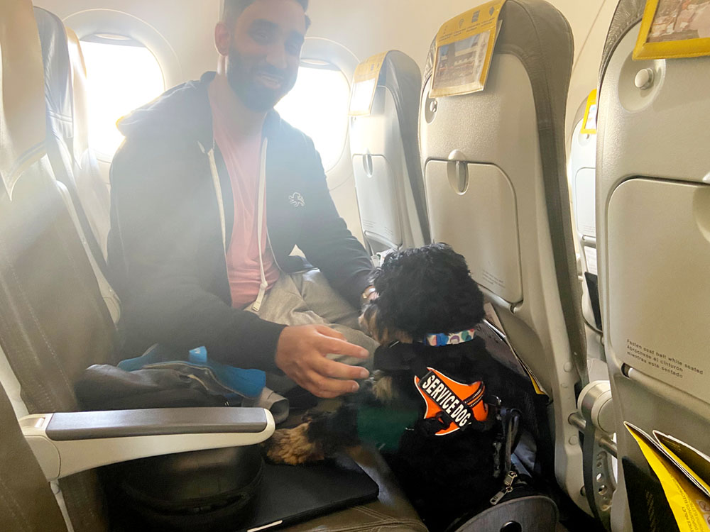 Hubo un perrito en el avión