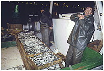 Mercado de pescado de Málaga