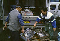 香港の魚市場
